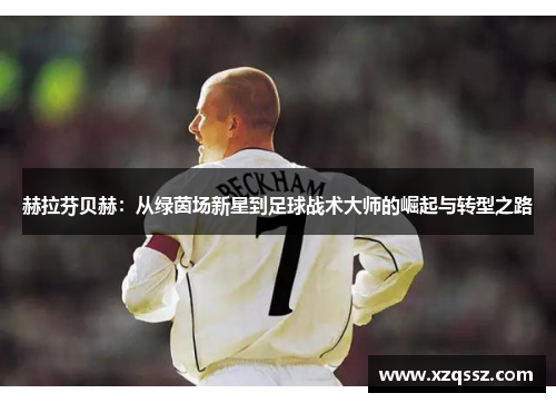 赫拉芬贝赫：从绿茵场新星到足球战术大师的崛起与转型之路